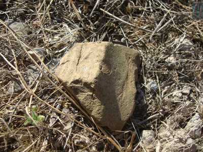 Un pezzo di dolium, tipico contenitore in terracotta di forma sferica in voga due millenni fa